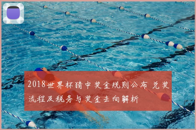 2018世界杯猜中奖金规则公布 兑奖流程及税务与奖金去向解析